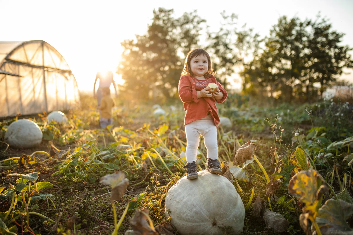 Smiling girl standing on big pumpkin on agriculture filed