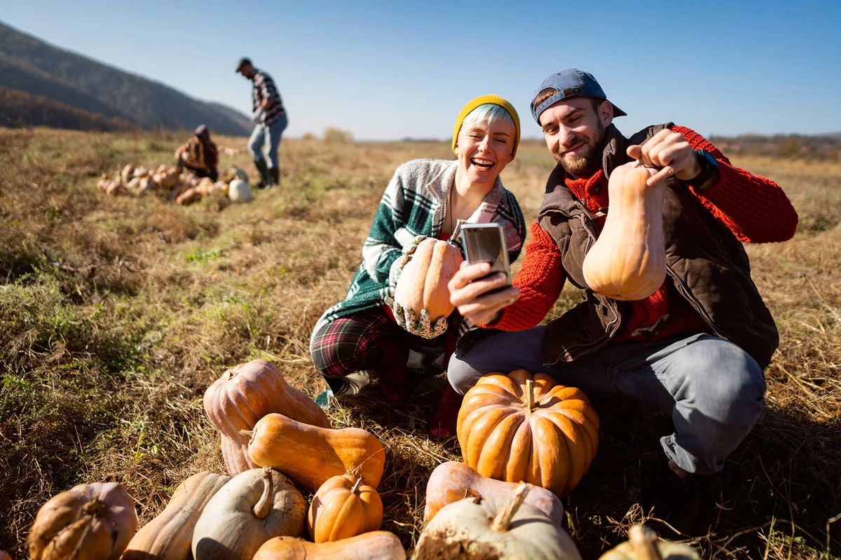couple making selfie with pumpkins after harvesting