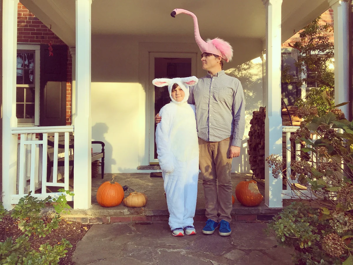 Bunny Rabbit and Flamingo Costumes