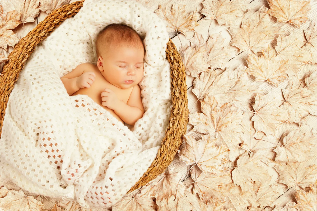 baby among leaves