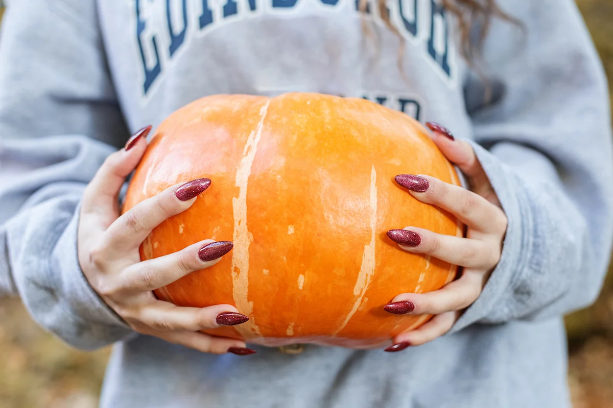Women's hands hold organic orange pumpkin outdoor