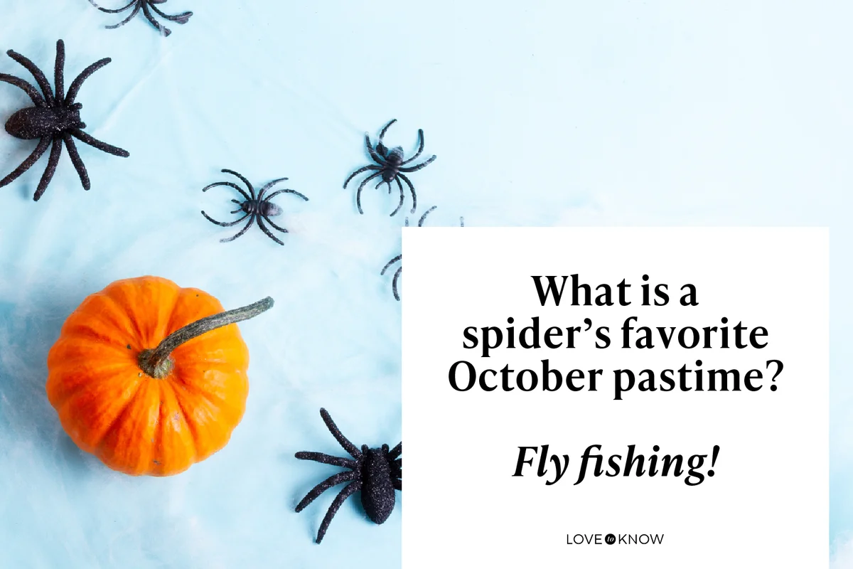Orange halloween pumpkins and spiders