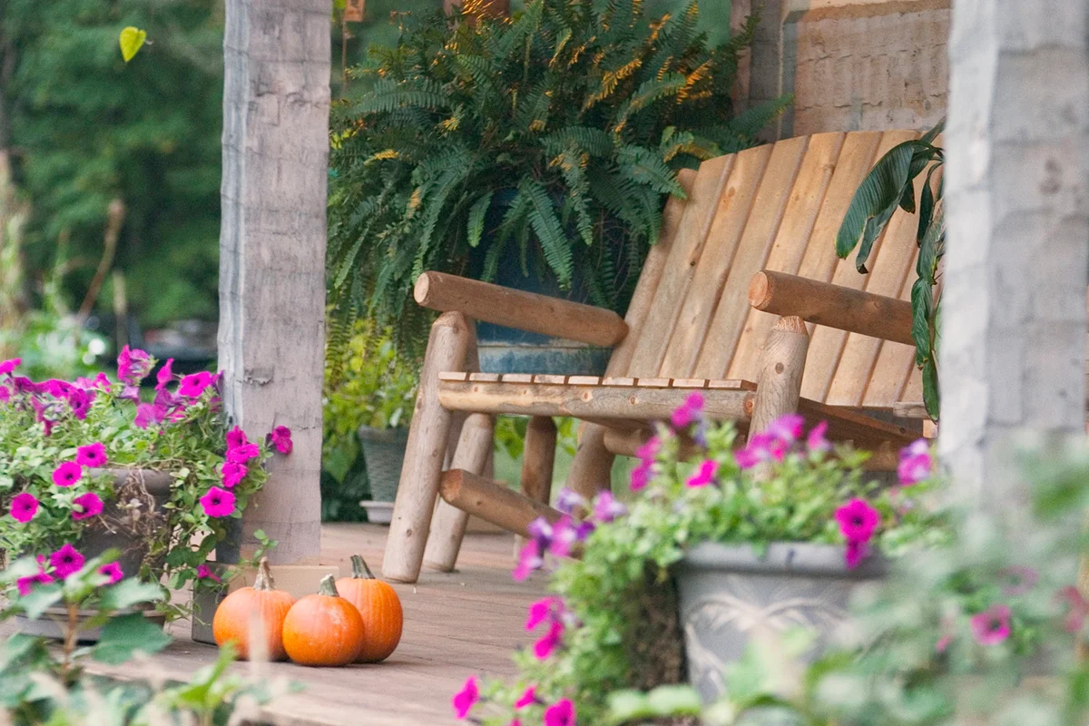pumpkins and petunias surround a double rocker