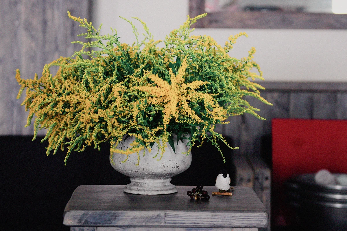 Floral workshop
