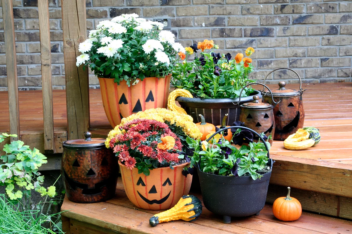 Autumn garden