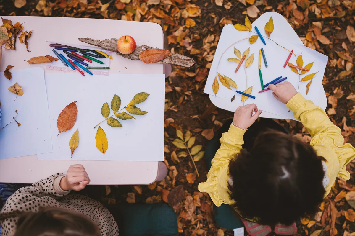Let's be creative with these autumn leaves