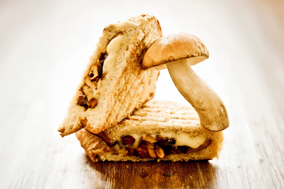 Emmental cheese and mushrooms grilled-cheese panini