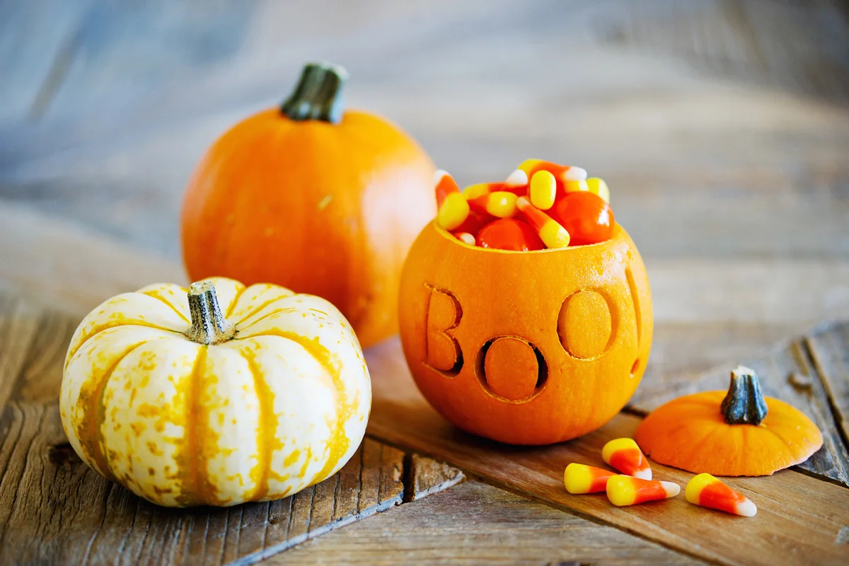 Trio of Halloween pumpkin filled with candy corn