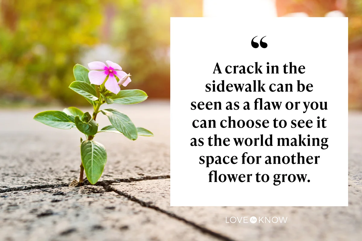 Wild flower growing through crack in the tiled pavement