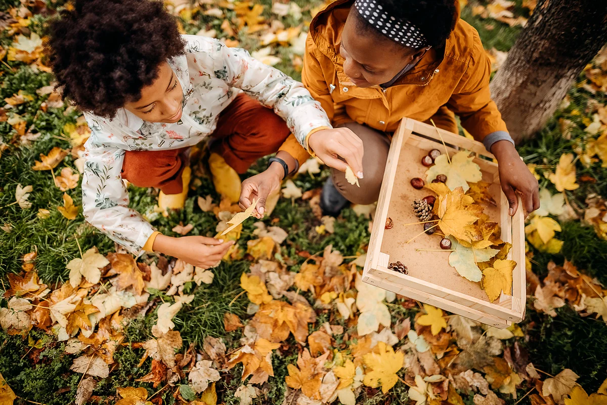 Picking leafs on the fall season