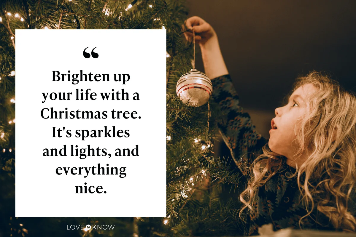 Brighten up your life with a Christmas tree. It's sparkles and lights, and everything nice.