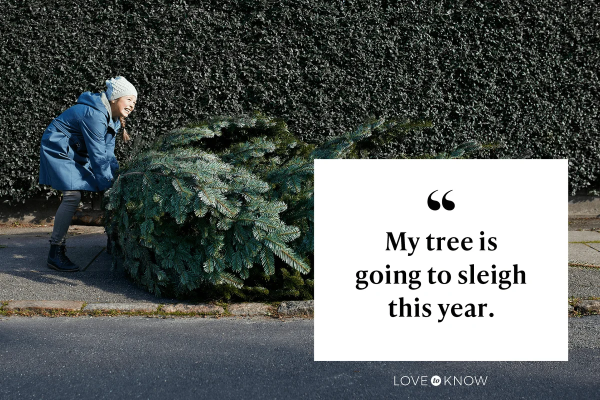 My tree is going to sleigh this year.