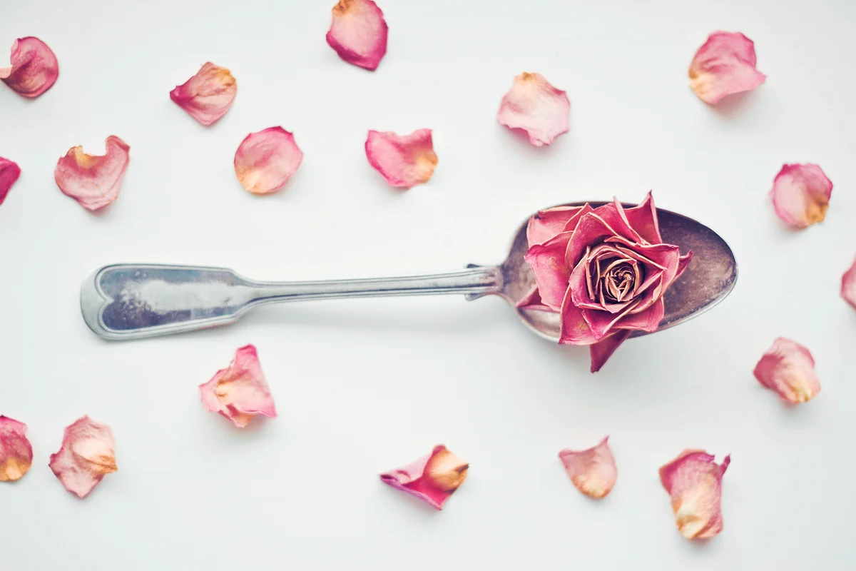 Rose in spoon with petals surrounded rose petals