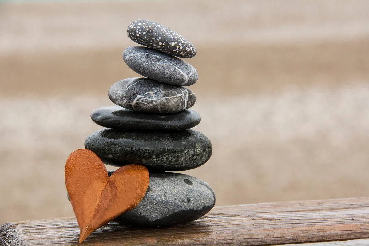 Stones with leaves