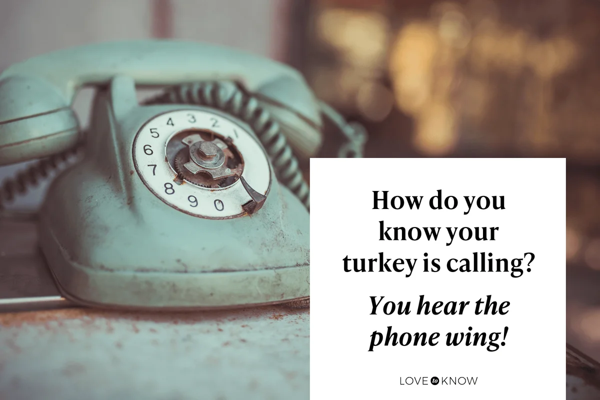 How do you know your turkey is calling?
You hear the phone wing!