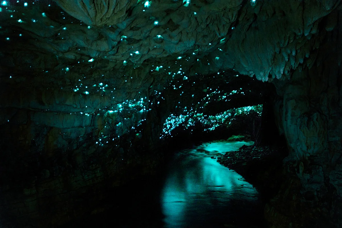 Famous glowworm cave