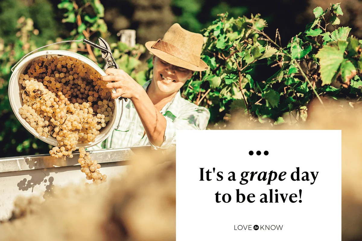 It's a grape day to be alive!