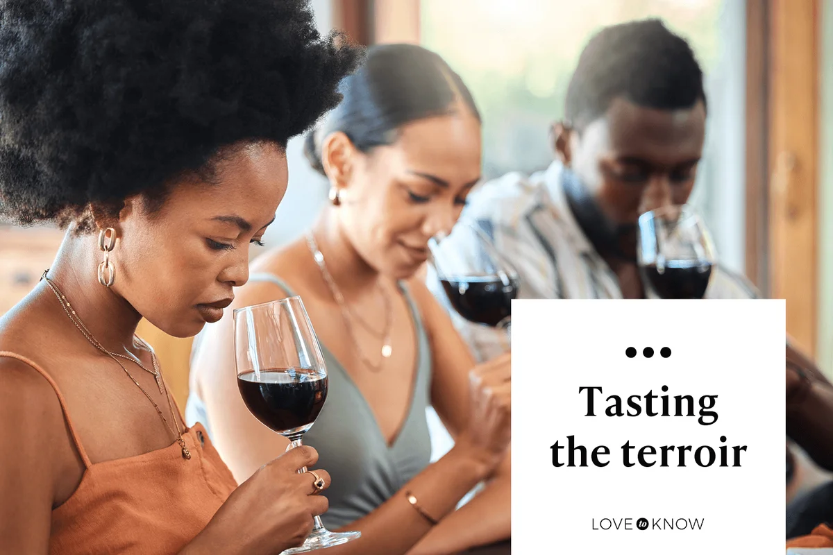 Tasting the terroir