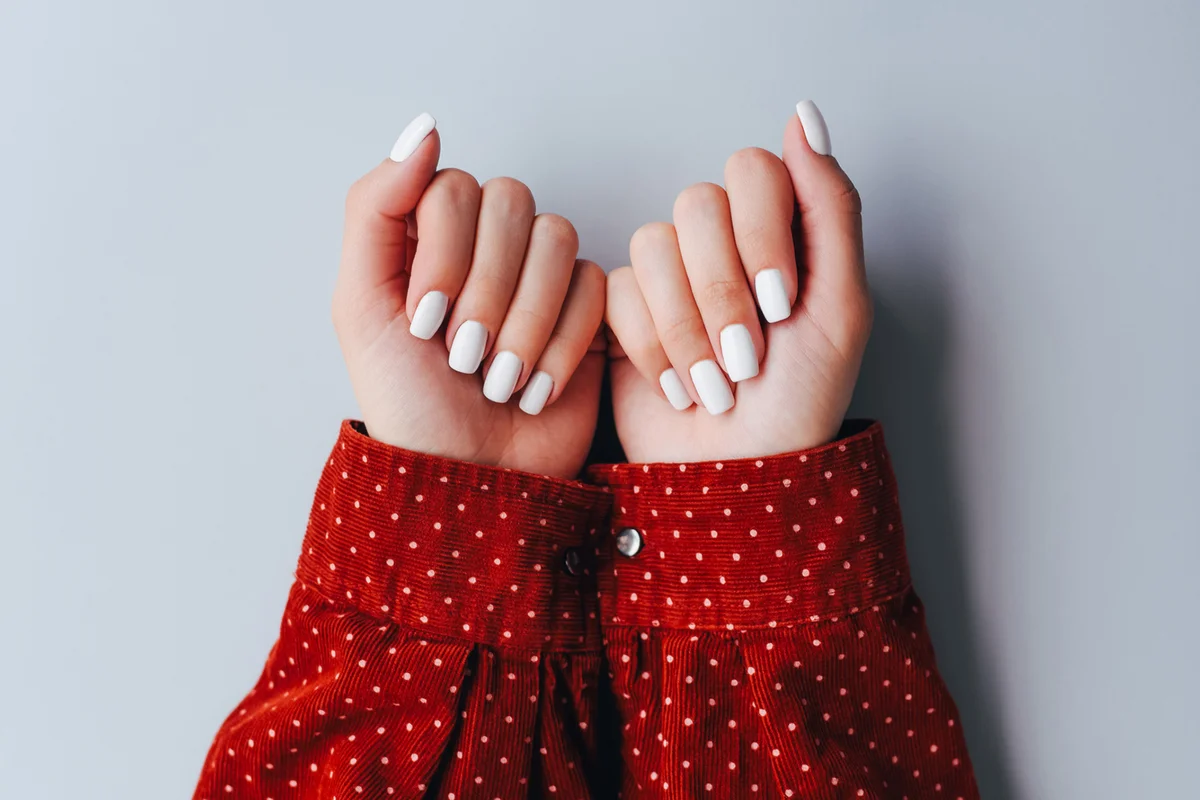 Female hands with white manicure on a gray background