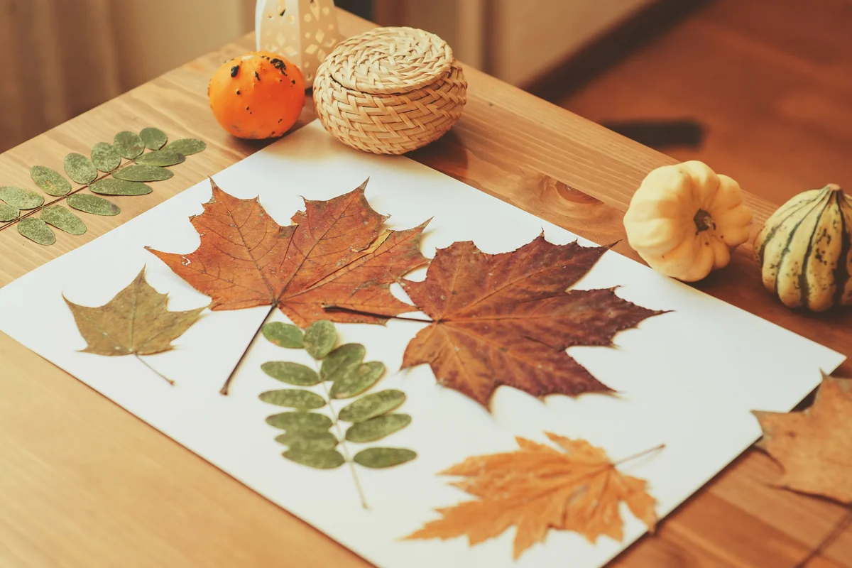 Thanksgiving placemat