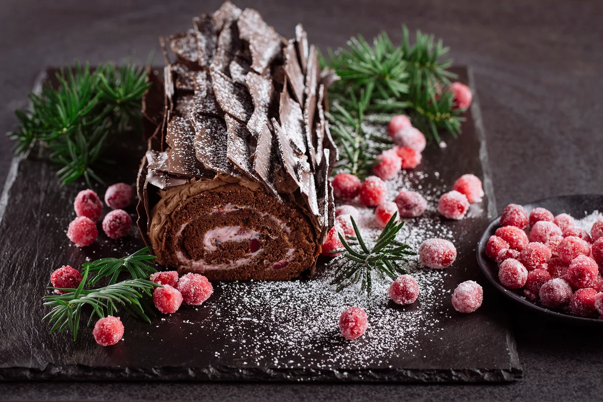 Chocolate Cranberry Holiday yule log