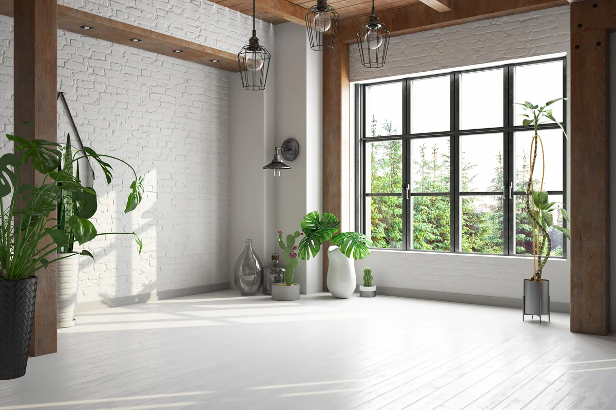 Bright Room Full of Green Plants and Window View