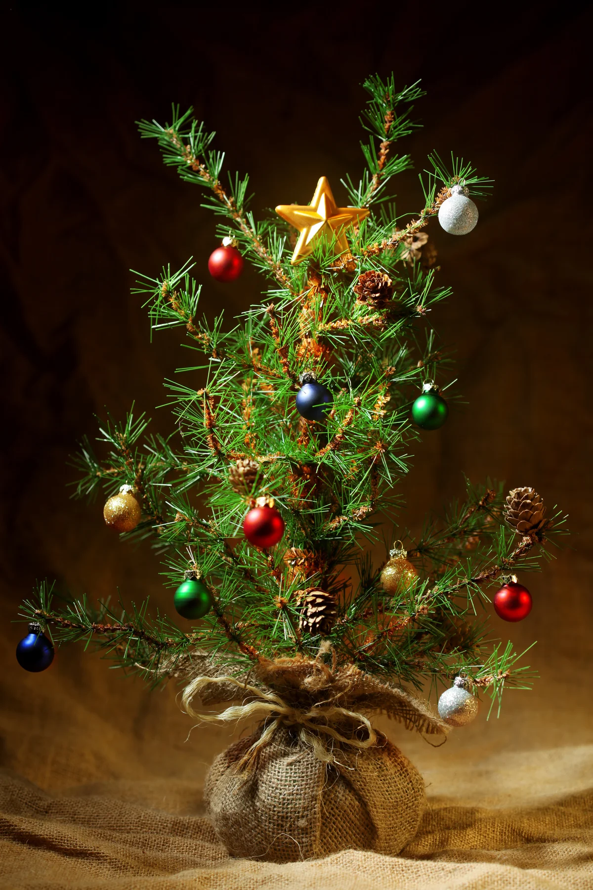 Little decorated Christmas tree background