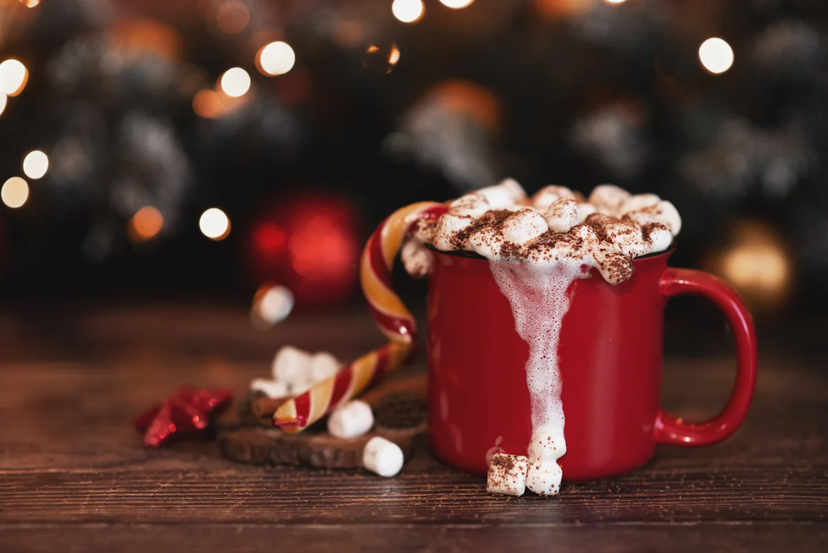 cozy cocoa
