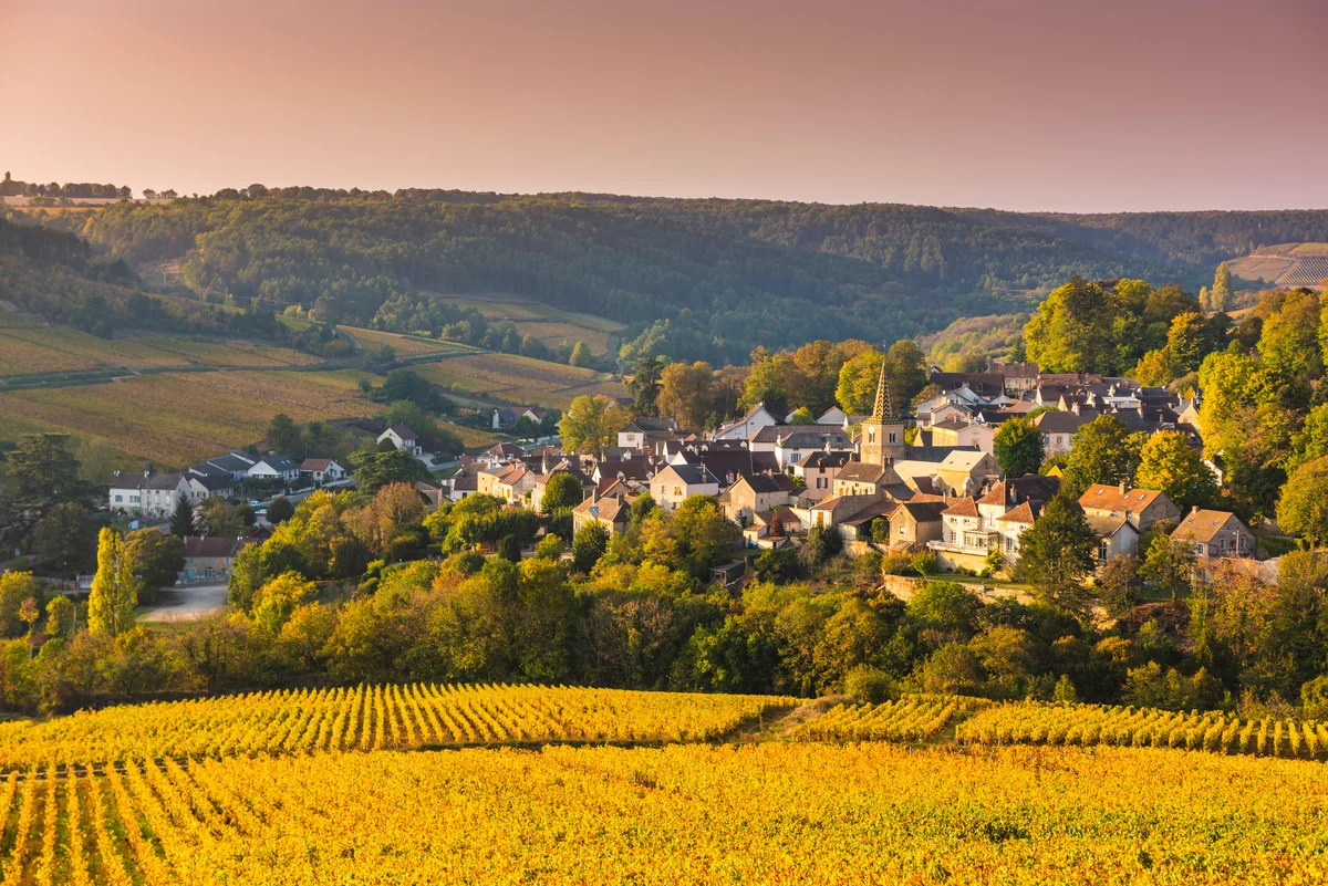 Burgundy wine region