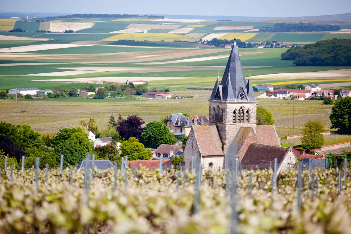 Champagne wine region