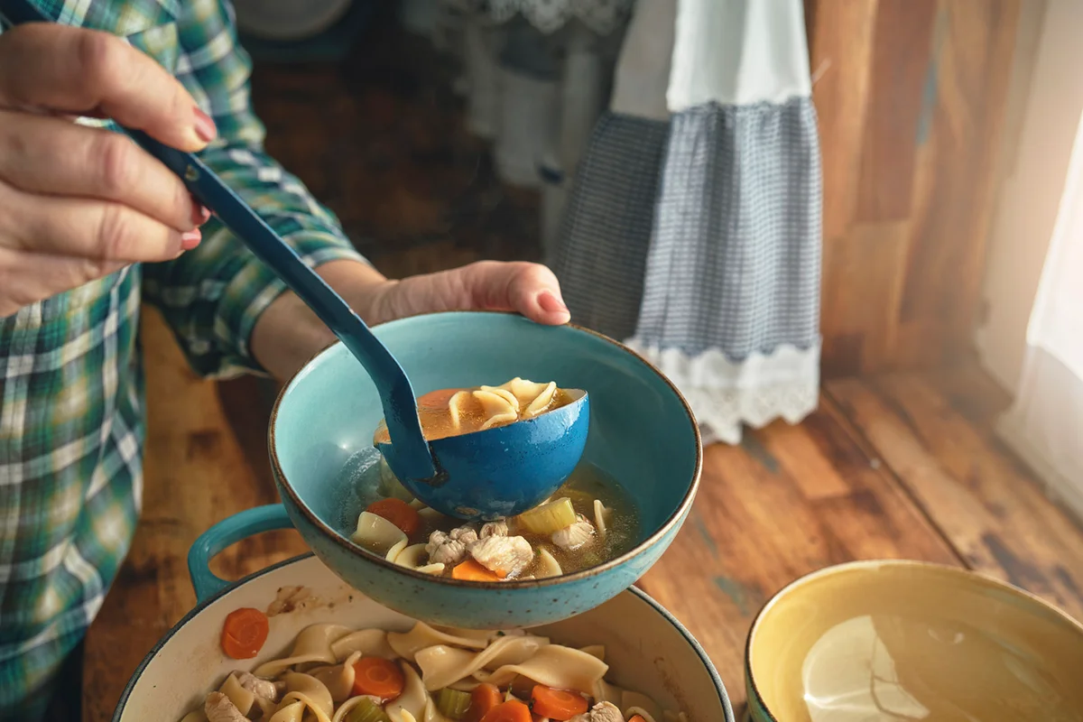 Chicken Noodles Soup with Fresh Vegetables