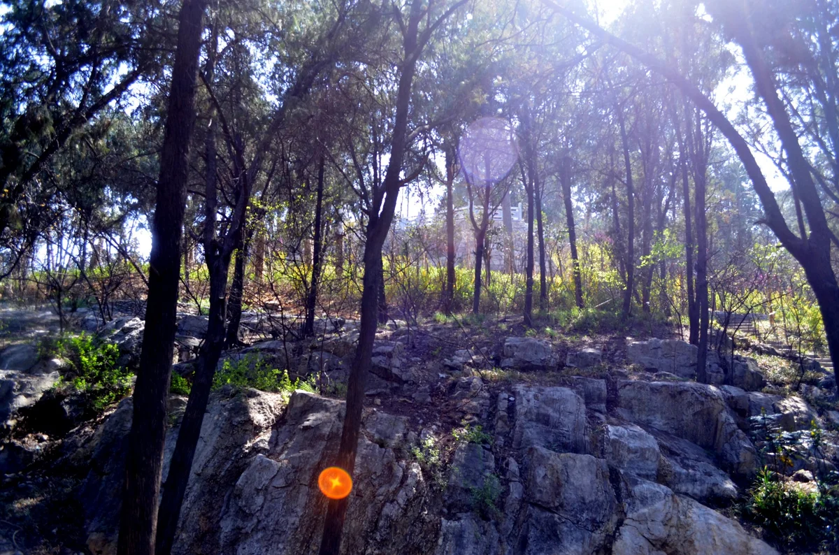 orbs