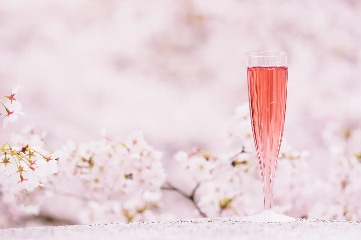 Champagne and cherry blossoms