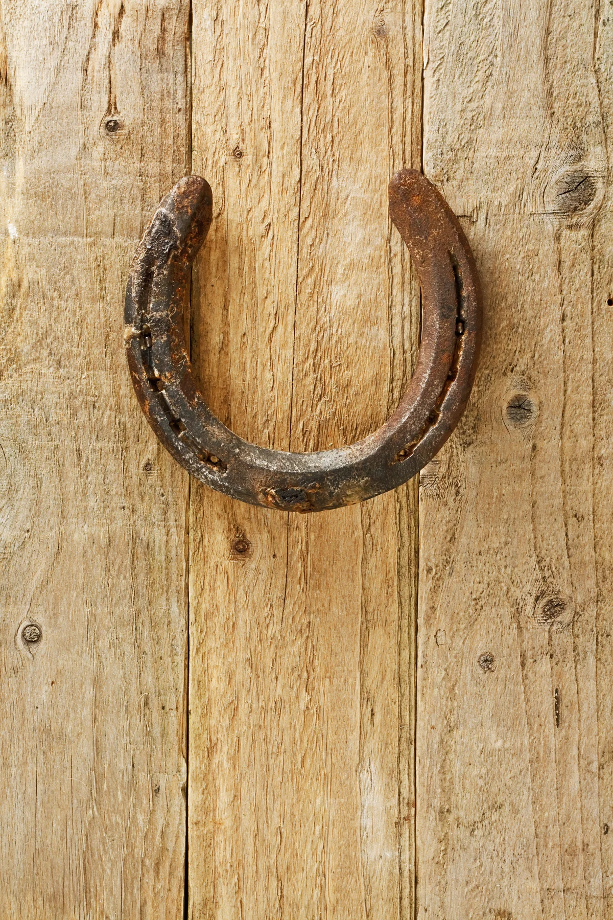 Horseshoe