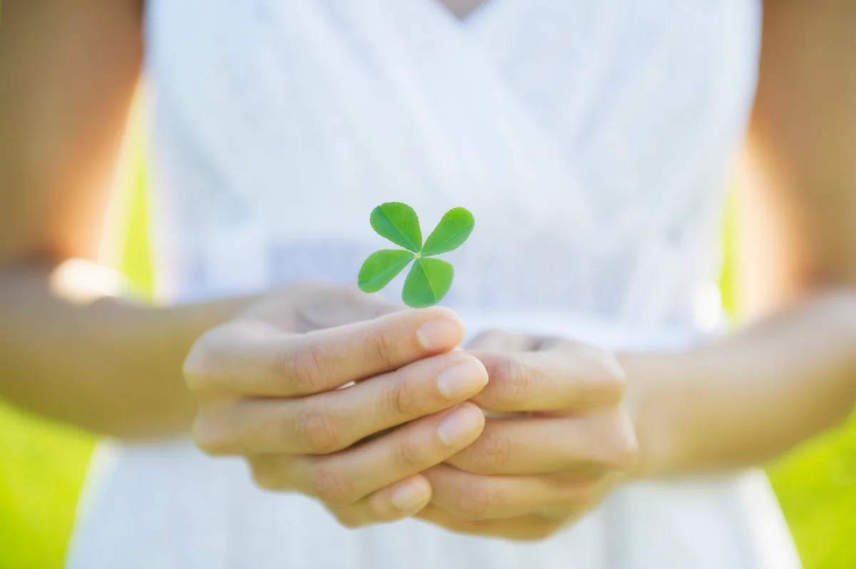 woman holding a four-leaf clover