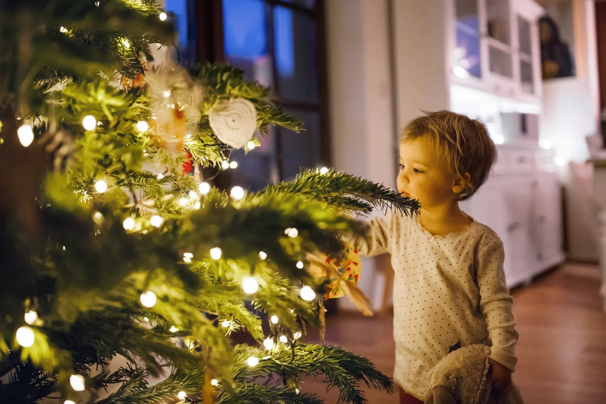 Small toddler girl looking at Christmas tree