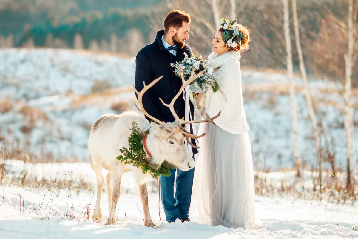 Beautiful bride and groom walk with the deer