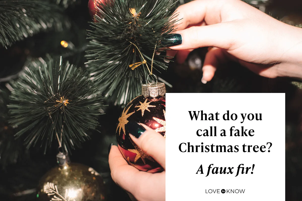 What do you call a fake Christmas tree?

A faux fir!