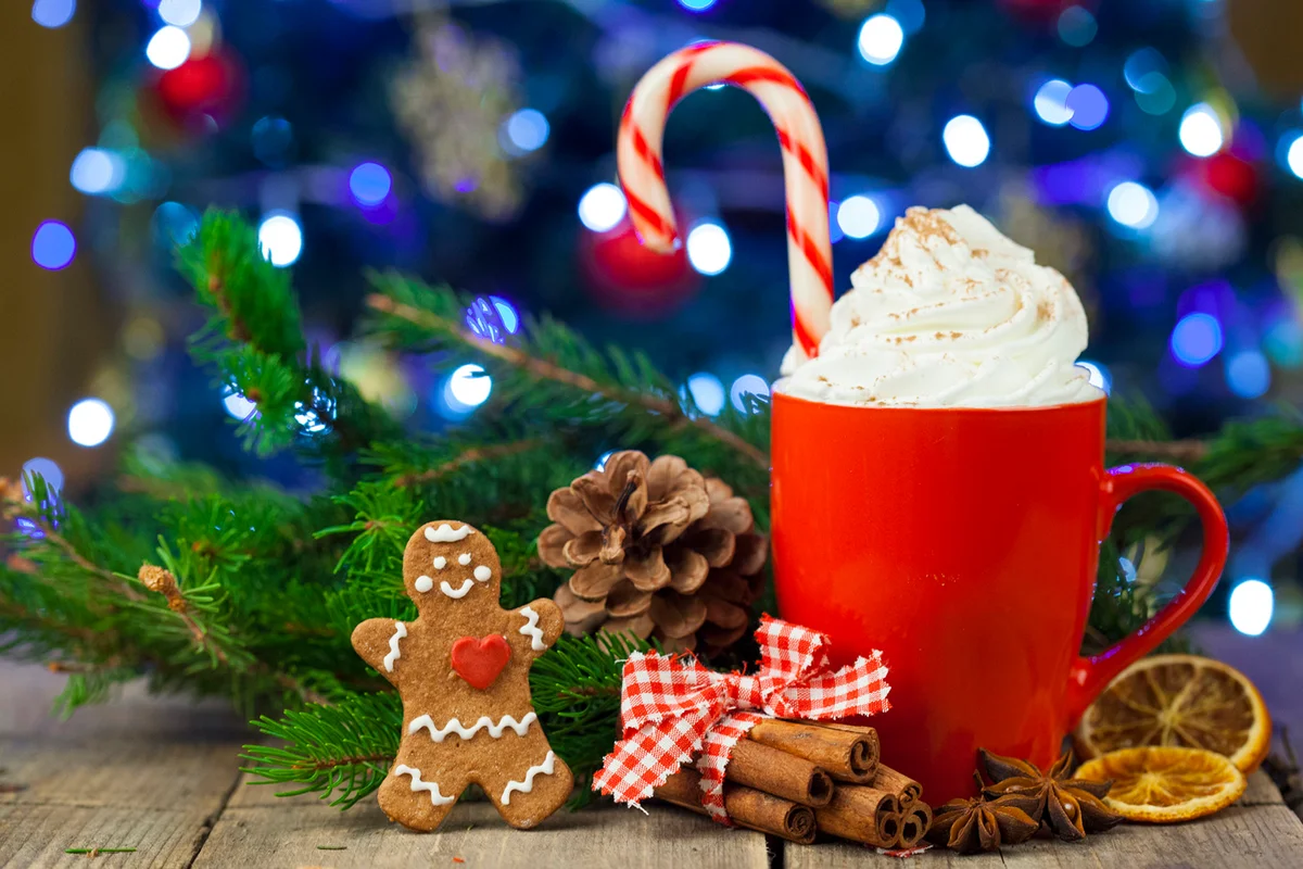 Christmas cappuccino and gingerbread cookies