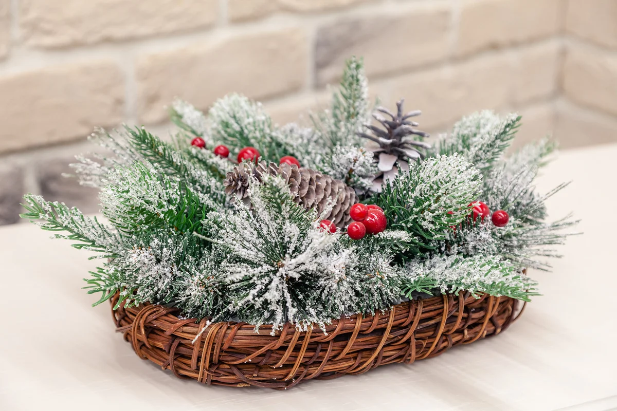 wicker basket with snow covered spruce evergreen branches