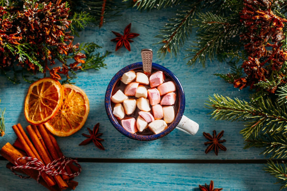 hot chocolate and dried oranges