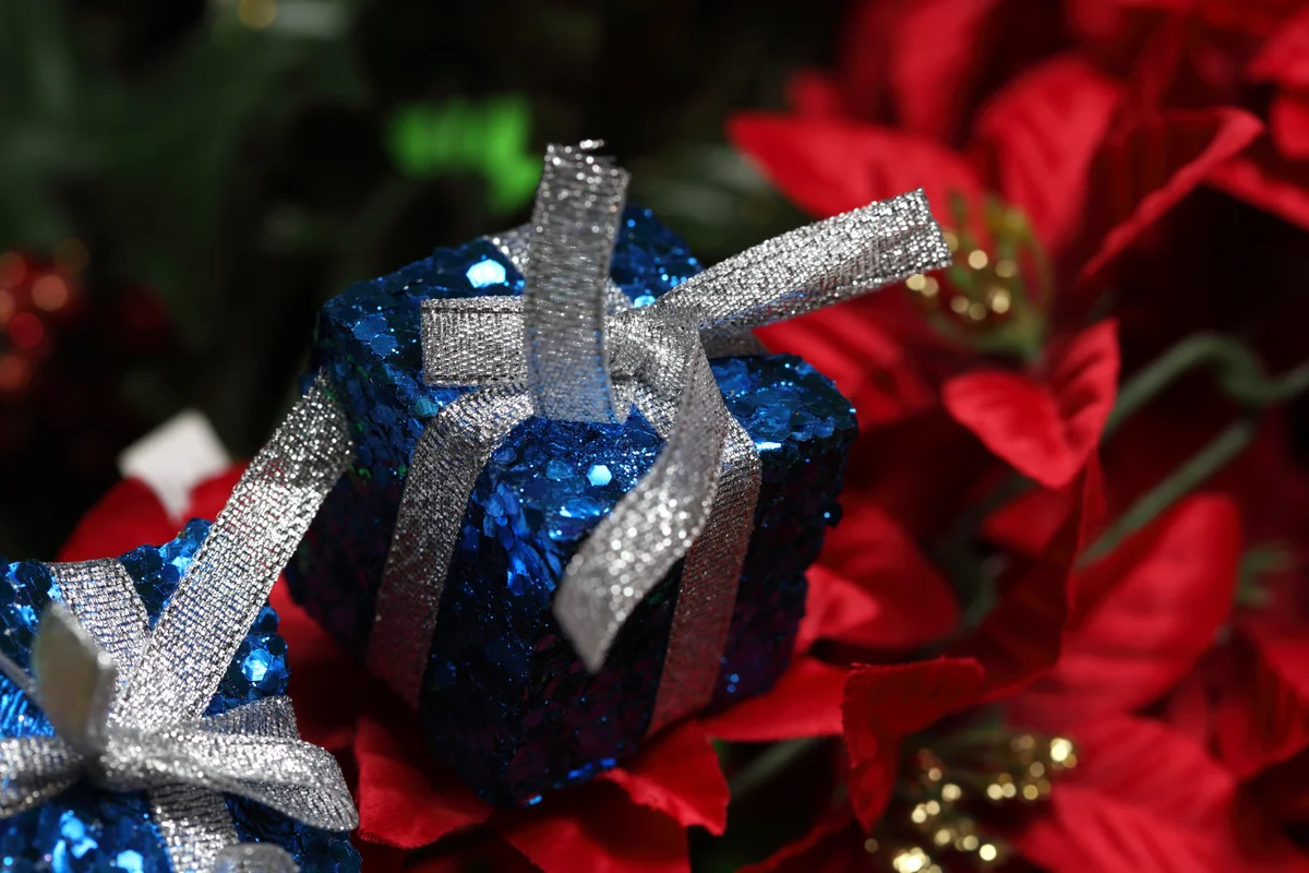 blue packages and red poinsettias