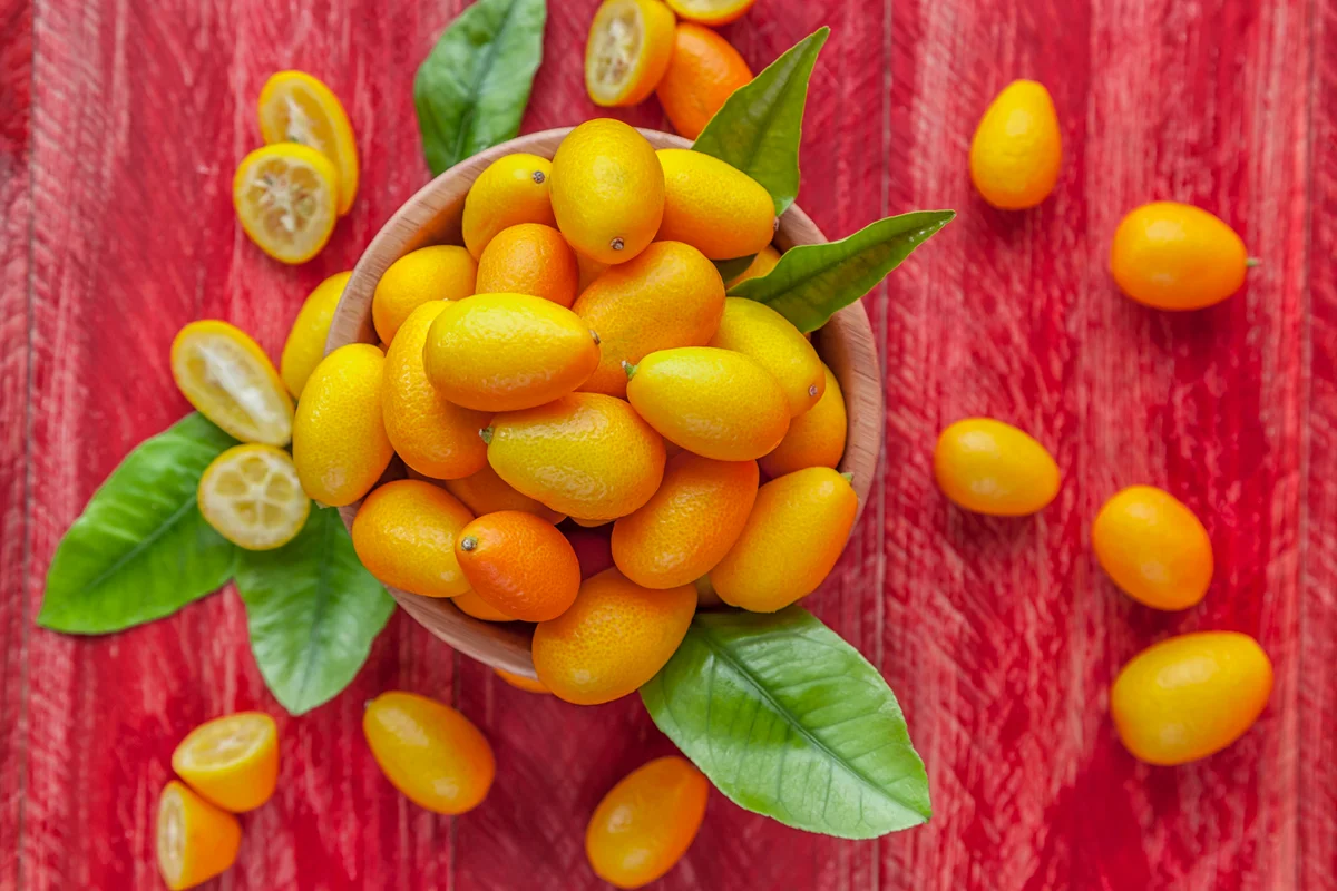 kumquats