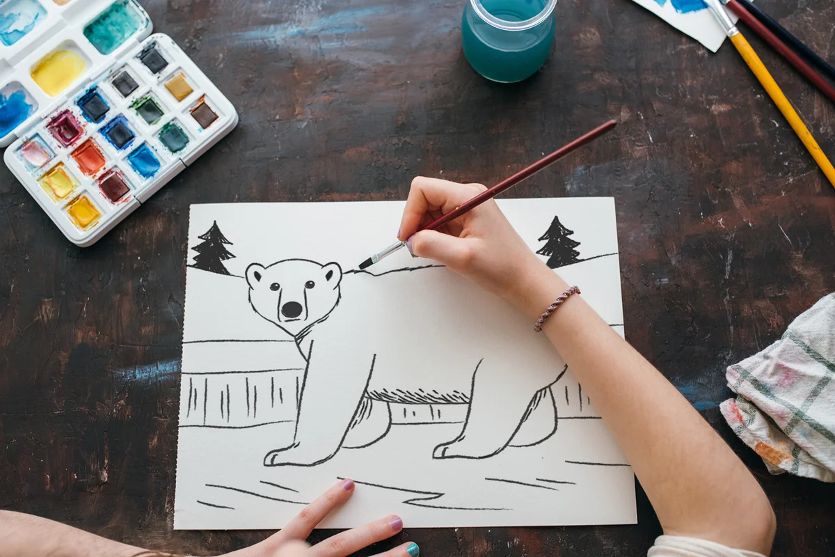 Drawing a Polar Bear