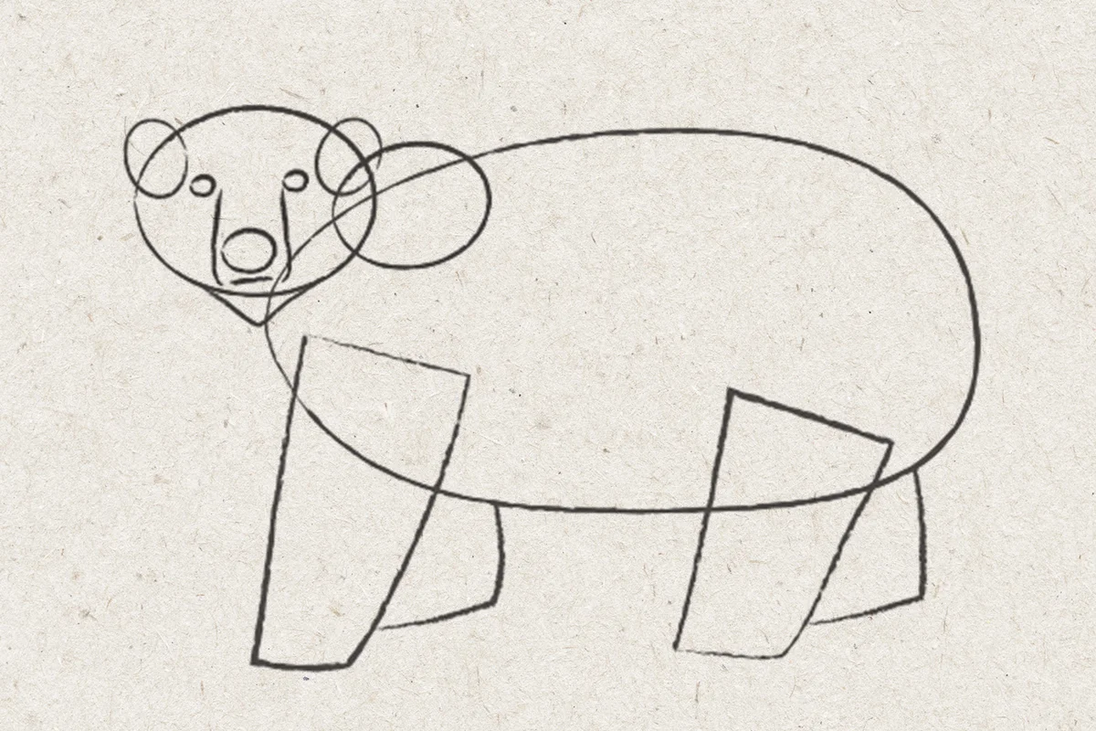 polar bear drawing step 3