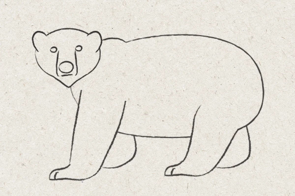 polar bear drawing step 4