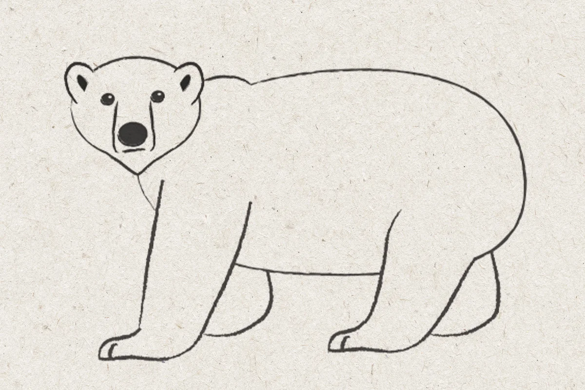 polar bear drawing step 5