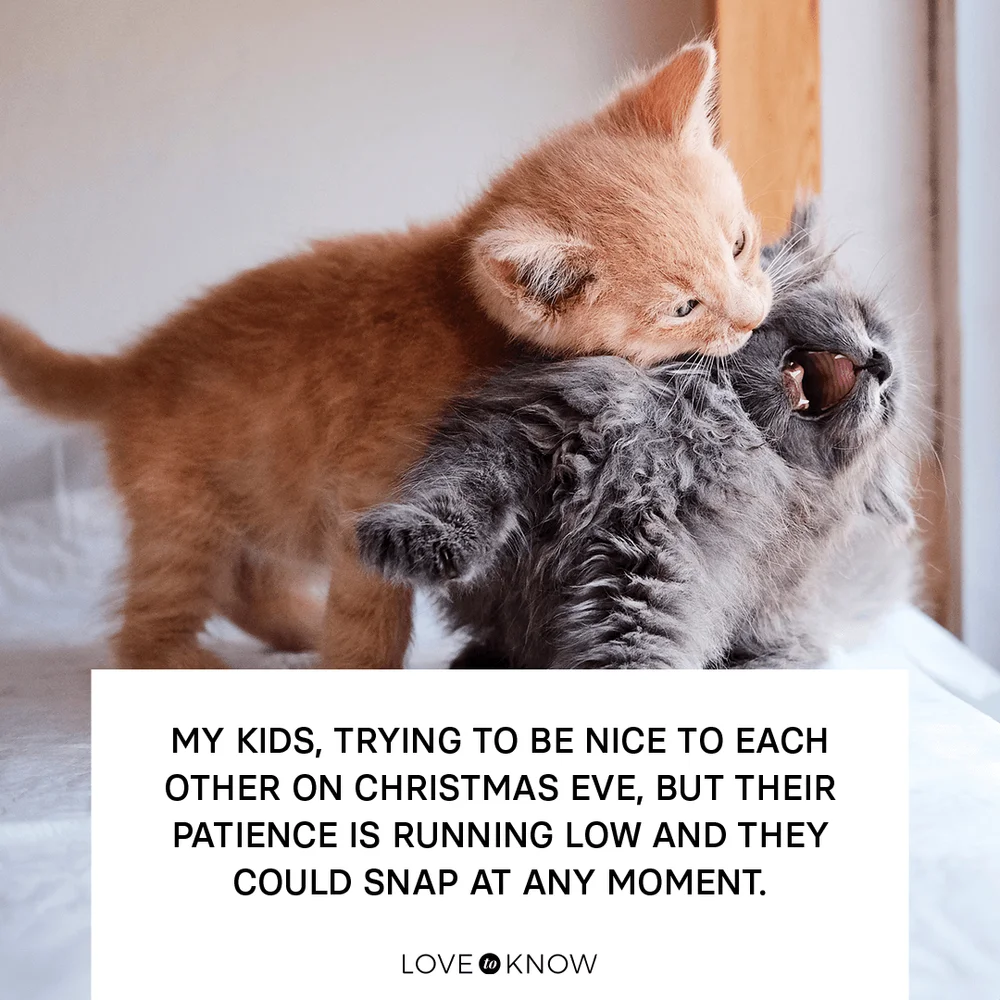 My kids, trying to be nice to each other on Christmas Eve, but their patience is running low and they could snap at any moment.
