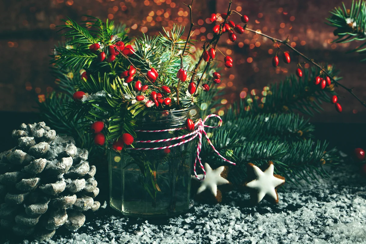 Holly Twig, pine cone and pine branches