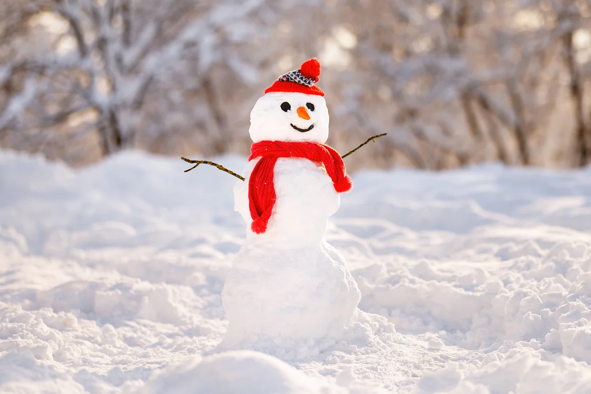 Snowman in red knitted hat and scarf with carrot nose and joyful smile in snowy winter park